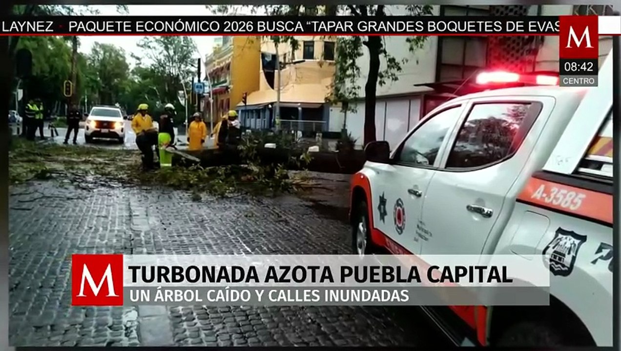 Lluvias intensas provocan inundaciones y caída de árbol de 12 metros en Puebla