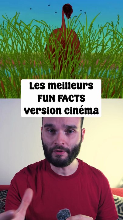 Les meilleurs fun facts !