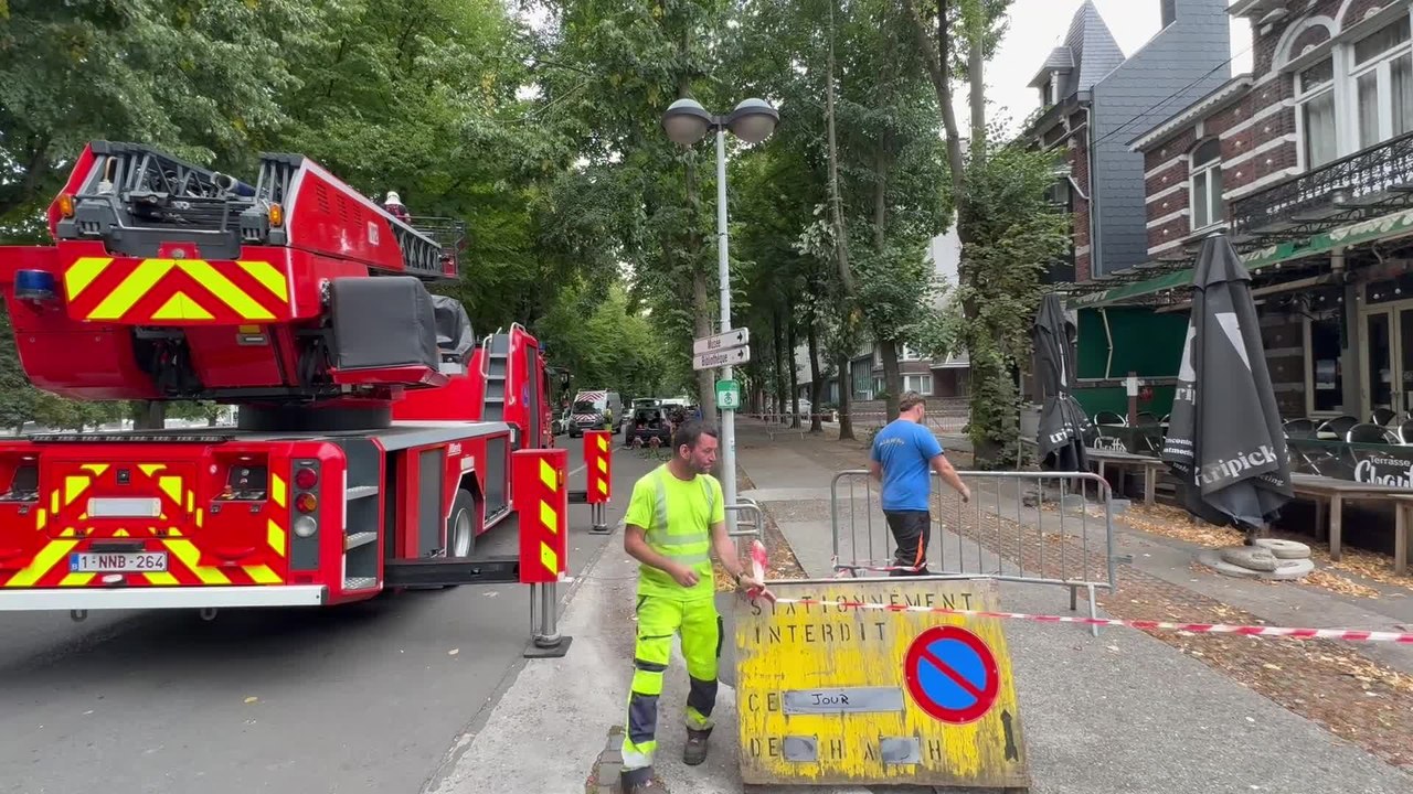 Abattage d'un arbre menaçant avenue Delchambre, ce jeudi à Huy
