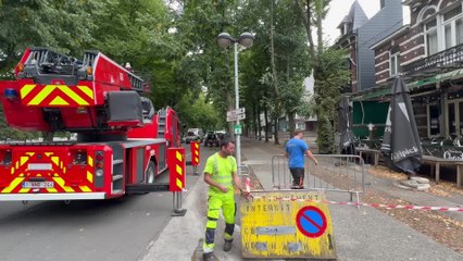 Abattage d'un arbre menaçant avenue Delchambre, ce jeudi à Huy