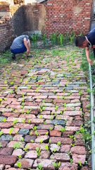 Chinese Farming in Courtyards 🤯