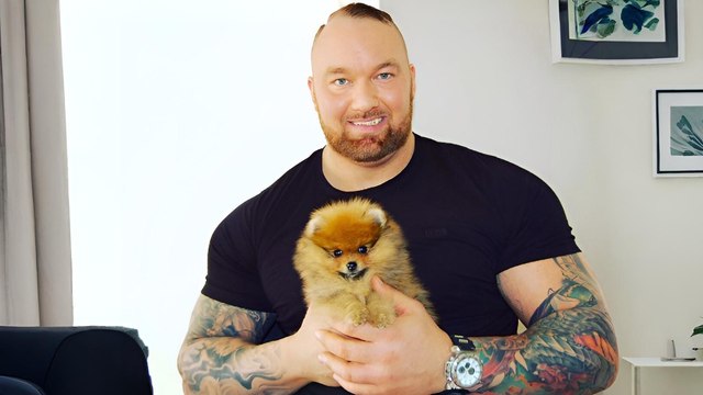 12 Adorably Small Dogs That Stay Puppy-Like for Life