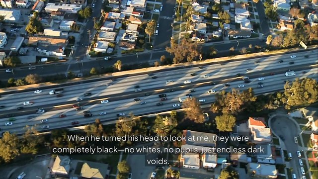 DarkCresset-Terrifying True Horror Stories | Scary Encounters, Paranormal Events & Unexplained Mysteries