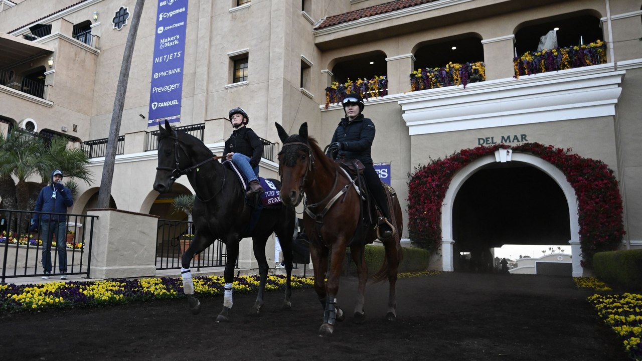 Exploring Mahina's Consistent Racing Strategy and Form