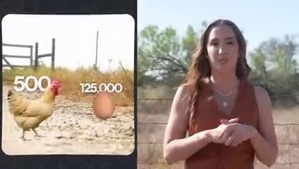 Own Cheap Land? Here Are 7 Businesses You Can Launch Now