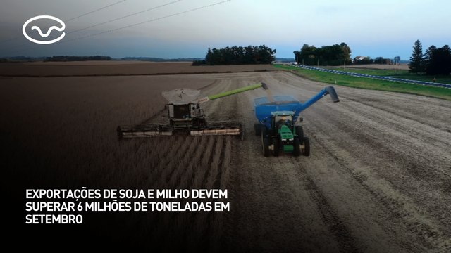 Exportações de soja e milho devem superar 6 milhões de toneladas em setembro