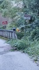 Ragno Delle orbite ep 3