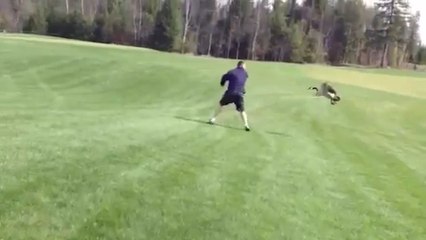 Fails Through The Ages