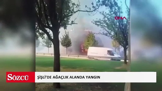 Şişli’de ağaçlık alanda yangın