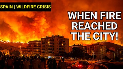 Spain & Portugal Fires: Fueled by Fossil Fuels