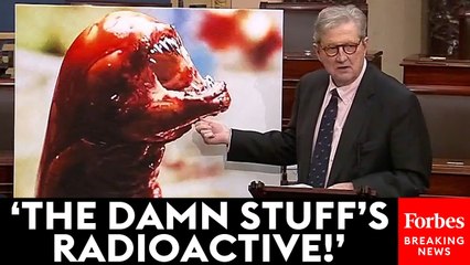 John Kennedy Sounds The Alarm On Dangerous Imported Shrimp Being Sold In US Stores