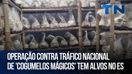 Operação contra tráfico nacional de 'cogumelos mágicos' tem alvos no ES