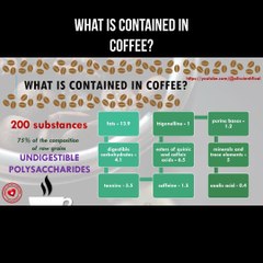 Coffee composition: What is contained in coffee?