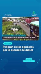 Peligran ciclos agrícolas por la escasez de diésel