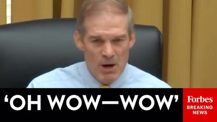 Jim Jordan Stunned By Stories From U.K. Of Police Action Against Citizens Over Public Expression