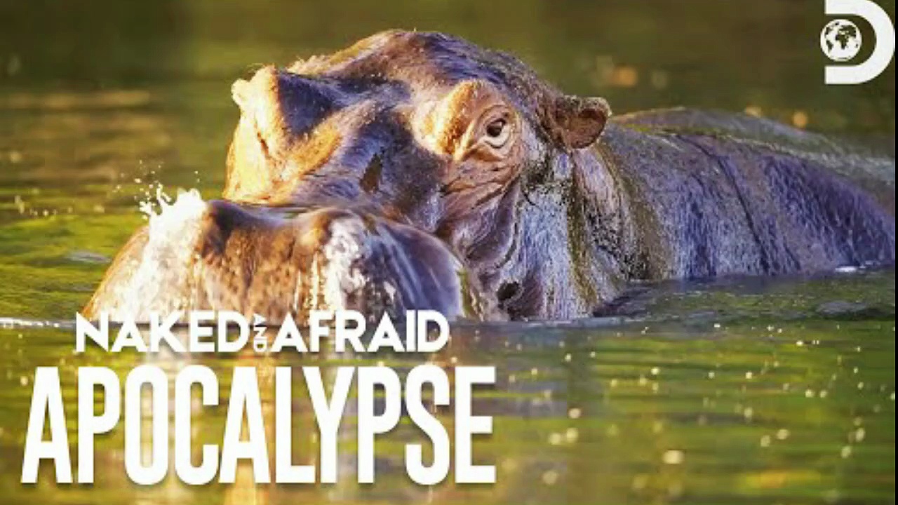 Hippos Scare Off Survivalists from Watering Hole | Naked and Afraid: Apocalypse | Discovery