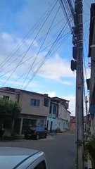 Bicho-preguiça é flagrado em poste na Chã de Jaqueira