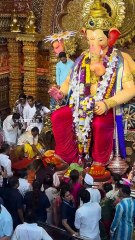 lalbaug cha raja darshan, vip scenes as nita and mukesh ambani arrive