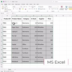 MS Excel Using filters