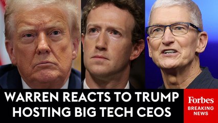 Elizabeth Warren Reacts To Trump Hosting Zuckerberg And Tim Cook At White House For Dinner