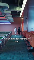 Lies, Lust, And Legacy