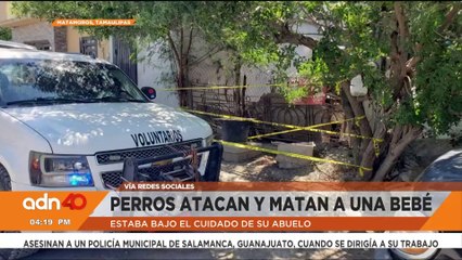 Muere bebé de 11 meses tras ser atacada por dos perros en Matamoros, Tamaulipas