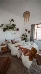 3 Estadísticas Sorprendentes sobre tu Dormitorio (¡No lo vas a creer!) - MetaDato (360p, h264)