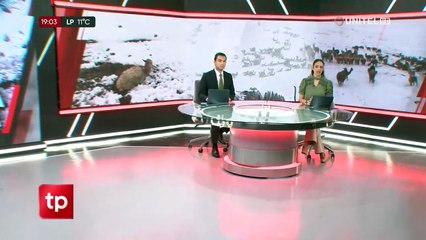 Nevada en Cocapata pone en riesgo a 8.000 camélidos y comunarios denuncian abandono de autoridades