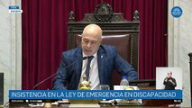 Por amplia mayoría, la Ley de Emergencia en Discapacidad quedó firme