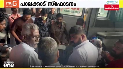 പാലക്കാട് സ്ഫോടനം; പന്നിപ്പടക്കം പൊട്ടിത്തെറിച്ചതിൽ കേസ്