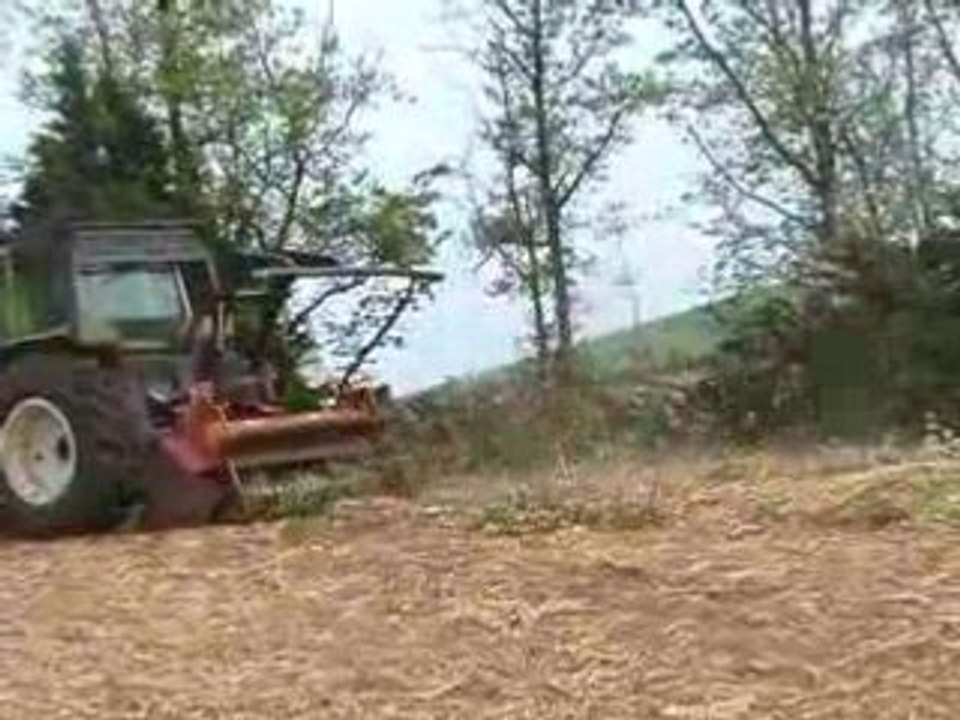 Debroussaillage 3