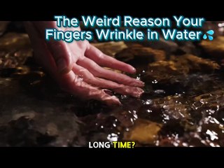 The Weird Reason Your Fingers Wrinkle in Water #funfacts #facts  #didyouknow