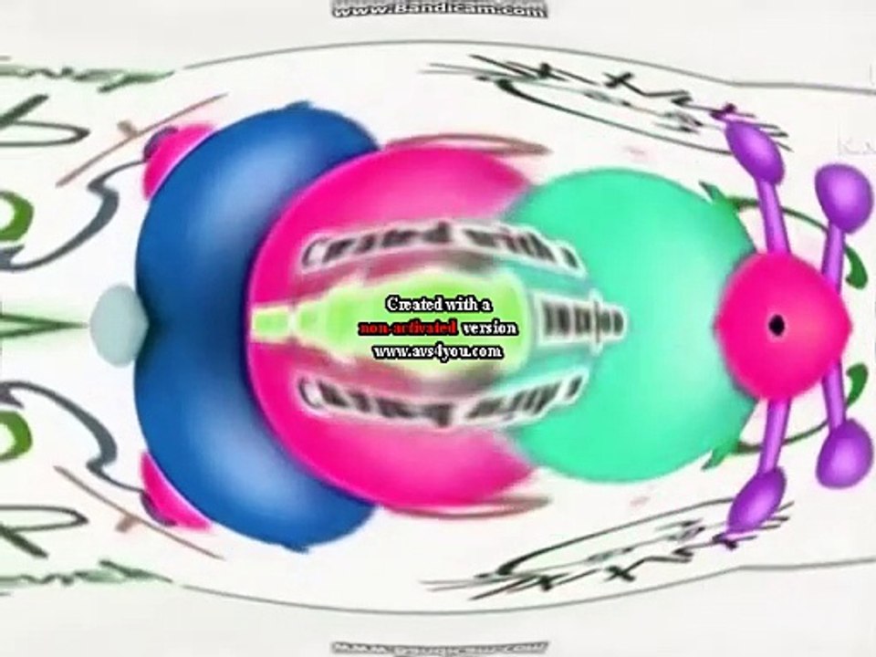 Baby Einstein Logo Effects 3 Too Ruins Tree