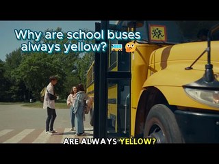 Why are school buses always yellow? 🚌🤔 #funfacts #facts  #didyouknow #mrfacts
