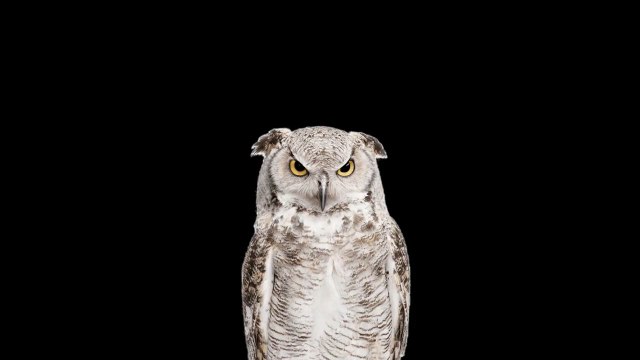 EL ICEBERG DE LOS MUNDIALES: Misterios, Teorías y Curiosidades EXPLICADAS