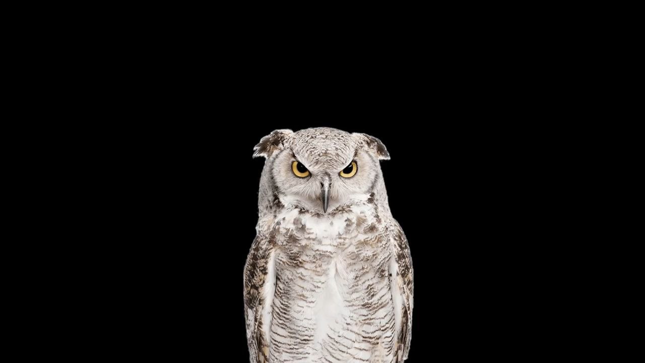 EL ICEBERG DE LOS MUNDIALES: Misterios, Teorías y Curiosidades EXPLICADAS