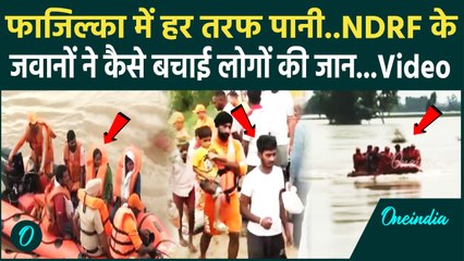 Punjab Flood: Fazilka जिले में बाढ़ में फंसे लोगों का NDRF ने किया Rescue | rainfall | cloudburst