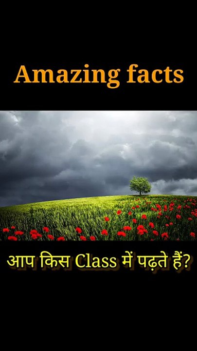 धरती पर हर रोज कितनी संख्या में बादल गरजते हैं