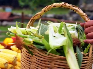 "Huge Meat Cooking Process | Traditional Style BBQ"