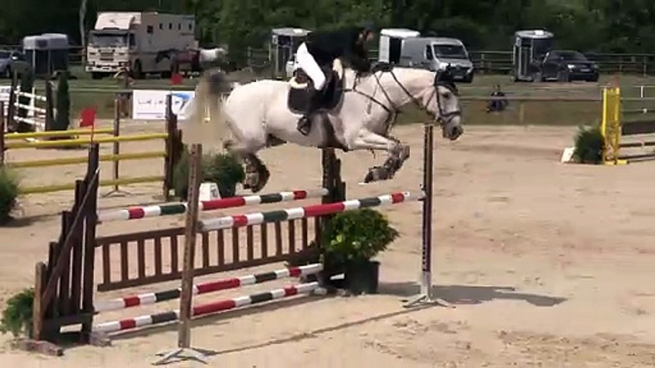 ILE BRAGARD 30-07-2017 Amateur 1 Grand Prix (1,20 m) 10