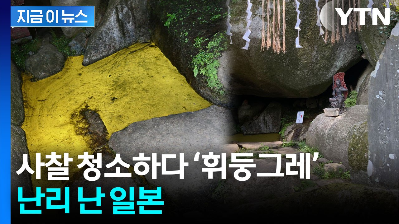 이제 4일 남았다...21년 만의 길조에 일본 '들썩' [지금이뉴스]  / YTN