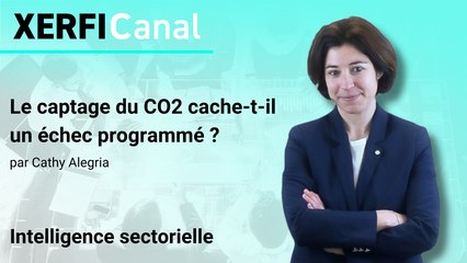 Le captage du CO2 cache-t-il un échec programmé ? [Cathy Alegria]