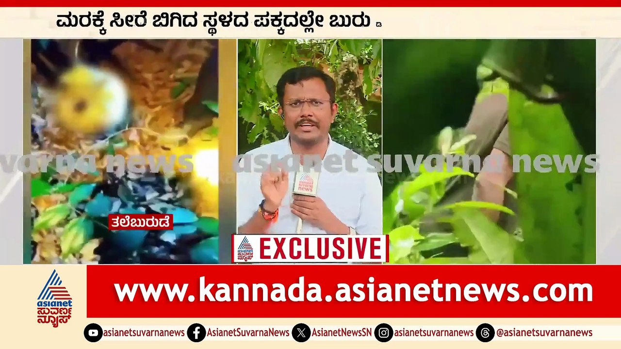 11AM News 1