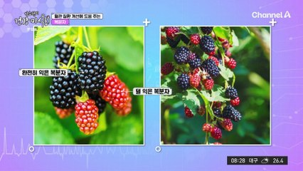 복분자를 먹으면 막힌 혈관도 건강해지는데 도움이 될까?