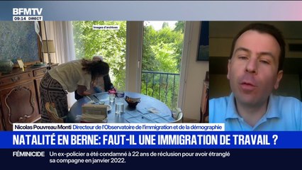 Chute de la natalité: "L'immigration de travail n'est pas la solution miracle", explique Nicolas Pouvreau Monti (OID)