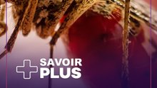 POURQUOI CERTAINS ATTIRENT LES MOUSTIQUES ET D'AUTRES N'EN ATTIRENT PAS ?