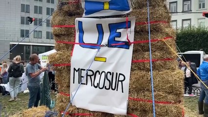 Les agriculteurs manifestent à Bruxelles contre l'accord commercial UE-Mercosur