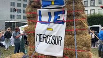 Les agriculteurs manifestent à Bruxelles contre l'accord commercial UE-Mercosur