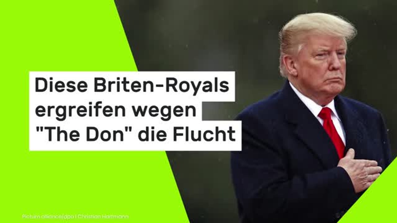 Diese Briten-Royals ergreifen wegen 'The Don' die Flucht