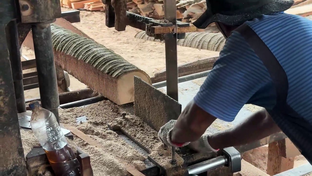 Sawmill Machine Solution for Cutting Coconut Trees into 2x20 Wood